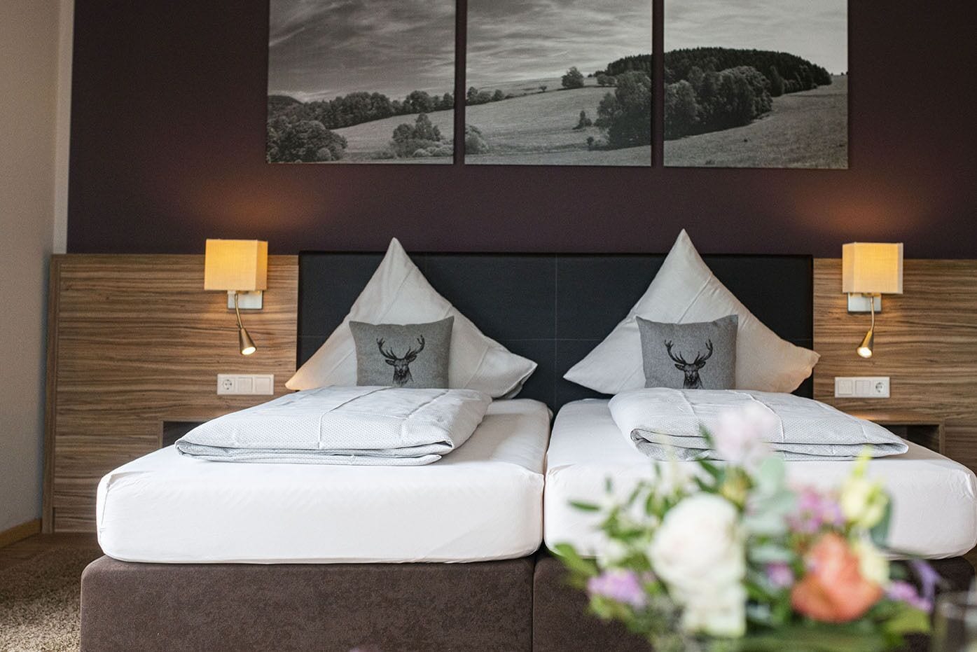 comfort double room, accessible, non smoking | desk, soundproofing, cots/infant beds, free wifi