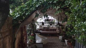 Garden - B&B Dreamfish (San Benedetto del Tronto)