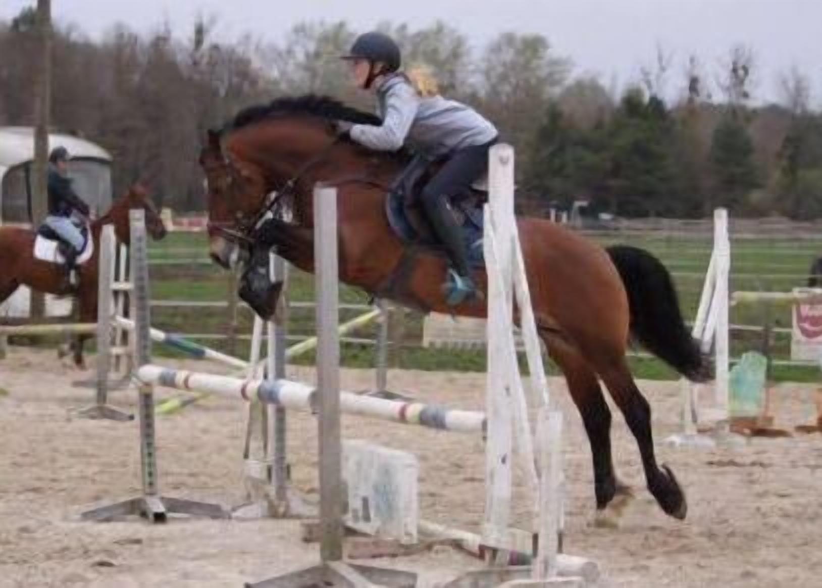 Un jinete y su caballo saltando un obstáculo.