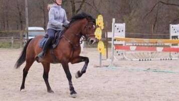 Treningsfasiliteter