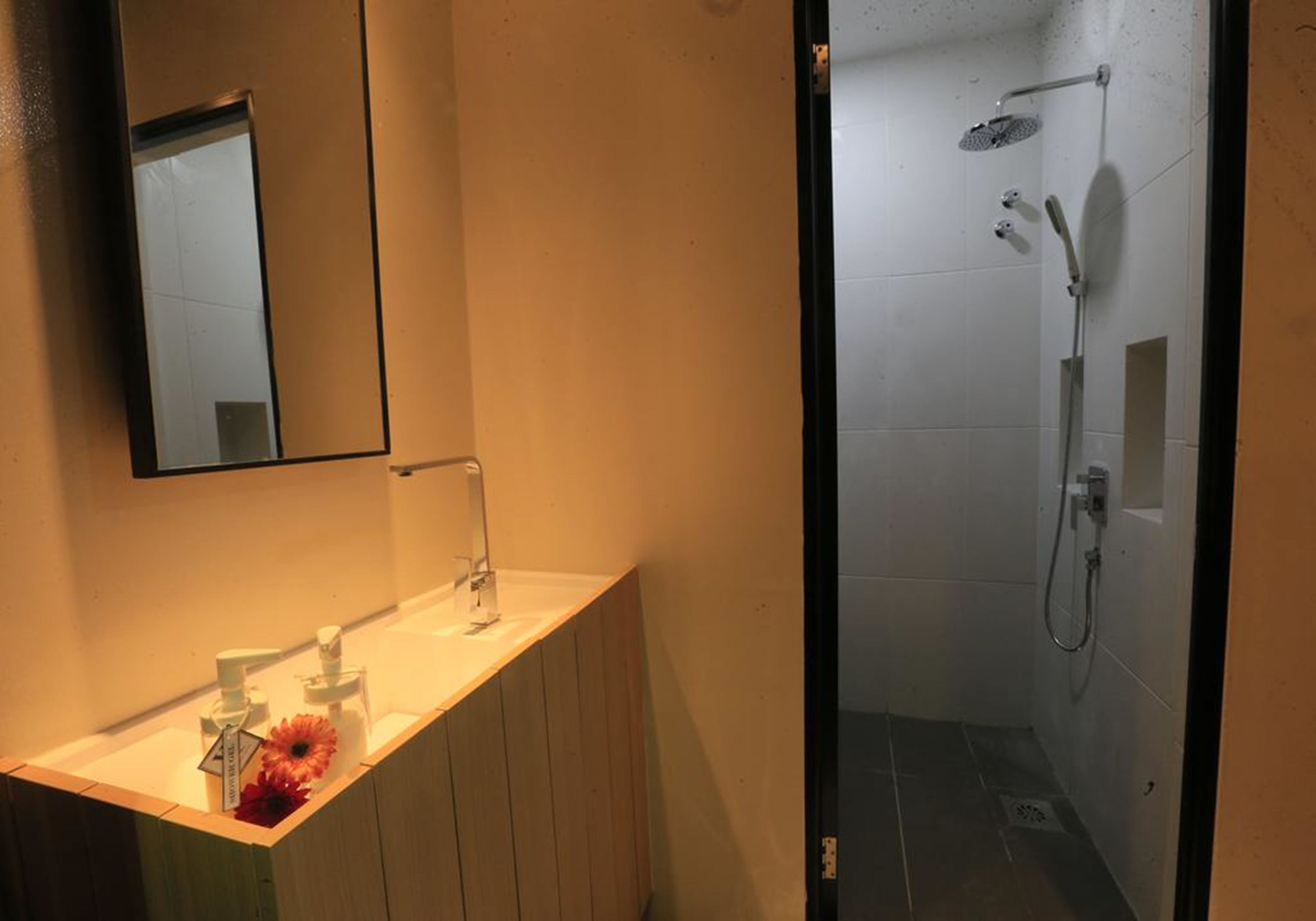 shower, free toiletries, hair dryer, towels