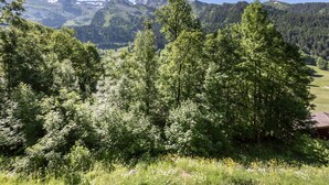 Un paysage montagneux avec une forêt dense et un petit bâtiment au premier plan.