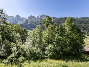 Bjergrigt landskab med tæt skov og en lille bygning i forgrunden.