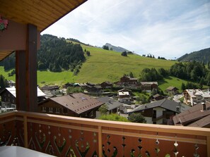 Property grounds - Cozy 2-room with fireplace, near slopes, garage included (La Clusaz)