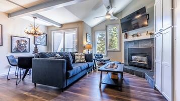 电视、壁炉、电子游戏、DVD 播放器