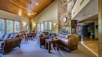 TV, fireplace, video games, DVD player