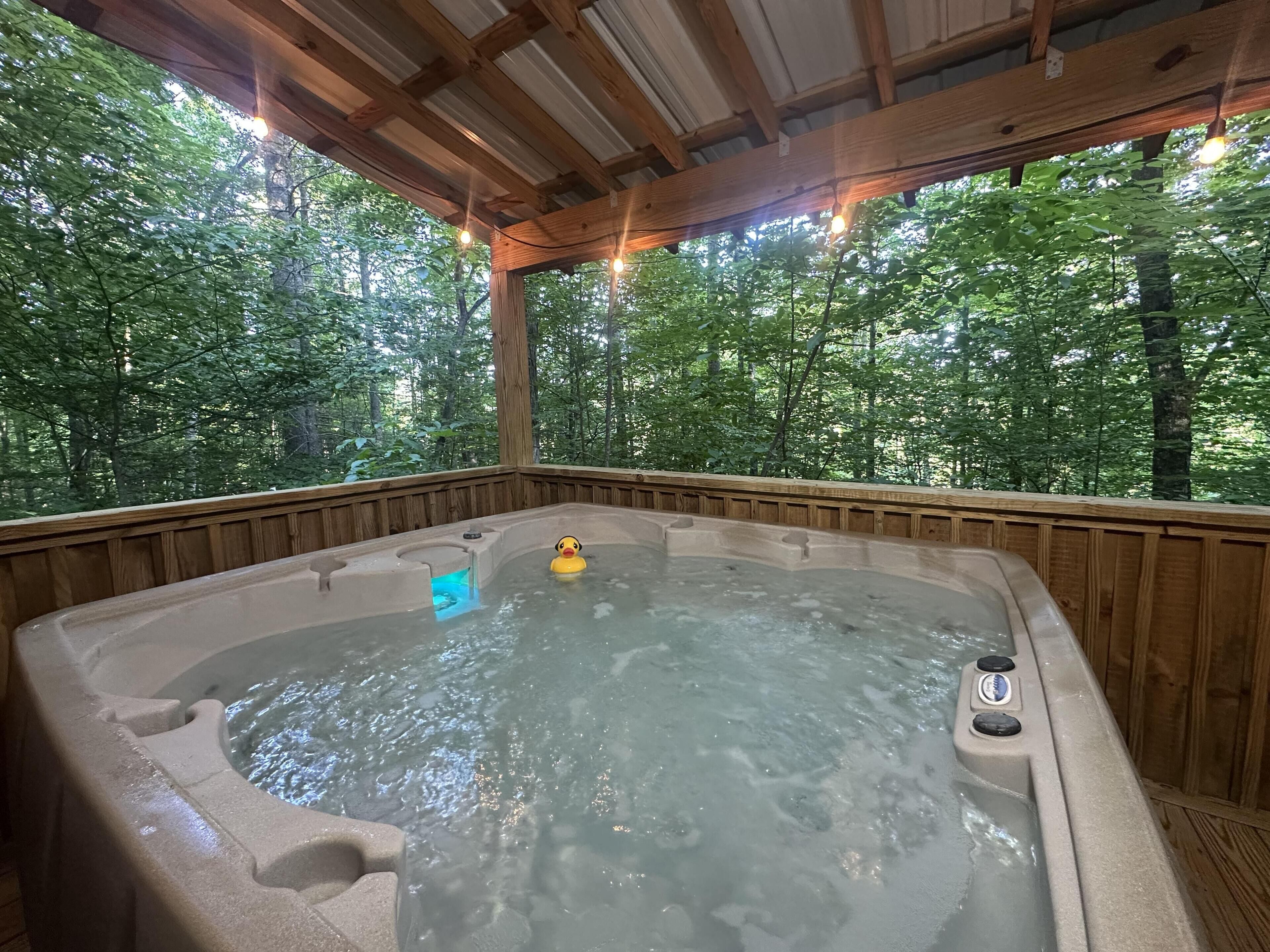 Baignoire à remous extérieure