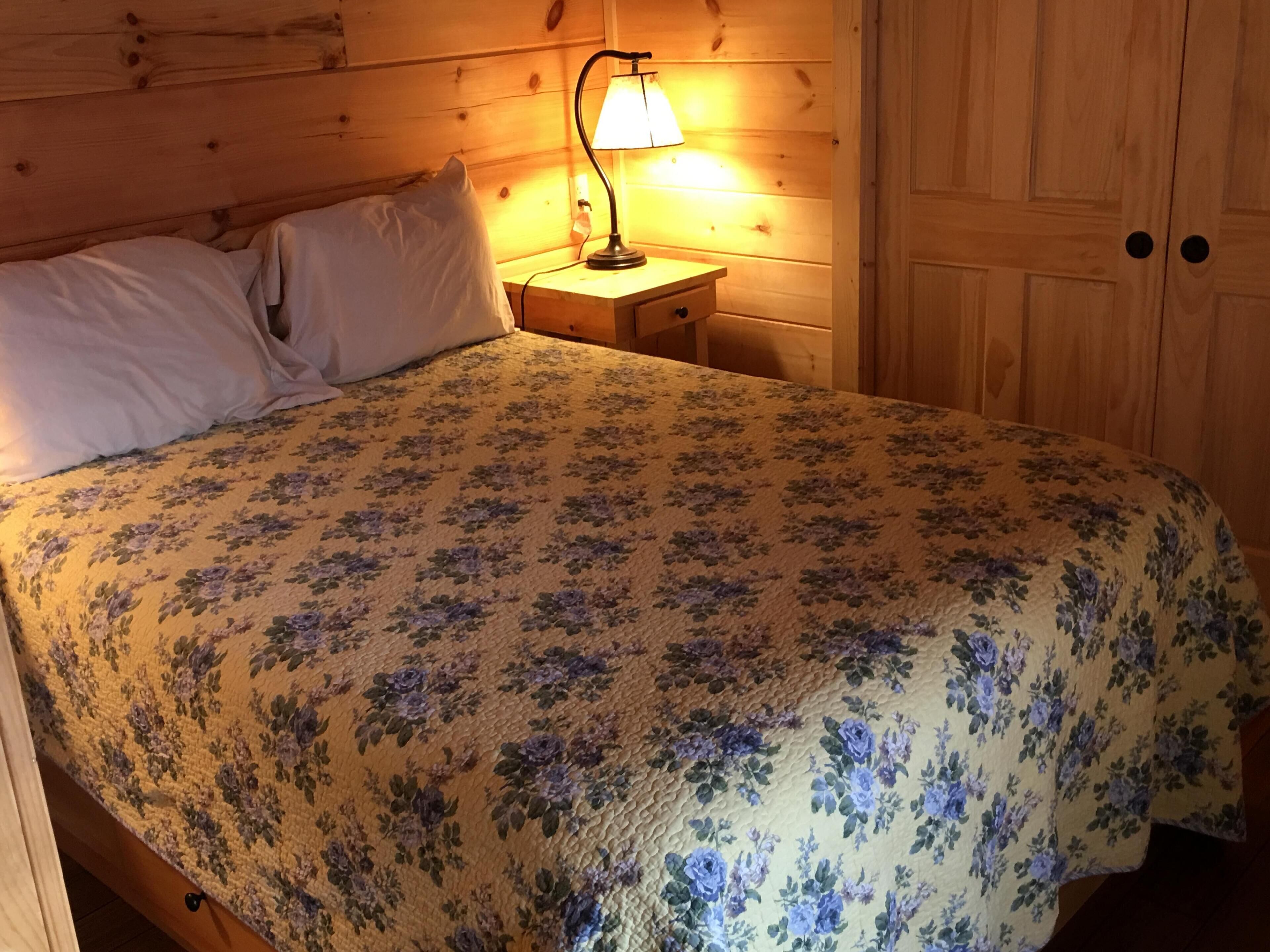 Dreamin Hollow Great Stargazing-Hot Tub, Fireplace, Romantic,WiFi, Pet Friendly