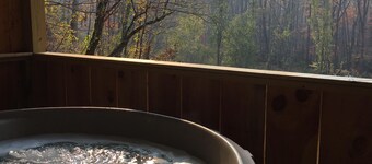 Dreamin Hollow: Your Peaceful Asheville Hideaway
