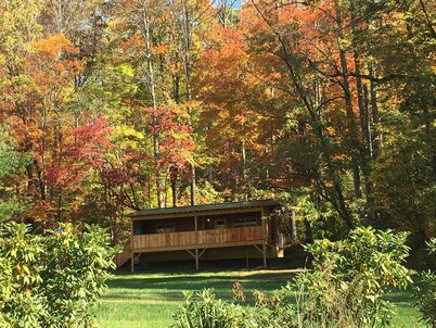 Dreamin Hollow Great Stargazing-Hot Tub, Fireplace, Romantic,WiFi, Pet Friendly