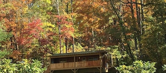 Dreamin Hollow Great Stargazing-Hot Tub, Fireplace, Romantic,WiFi, Pet Friendly