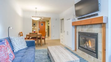 TV, fireplace, video games, DVD player