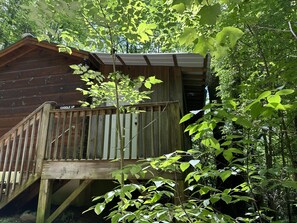 Exterior - Cuddle Up and Relax - Hot Tub, Fireplace, View (Asheville)