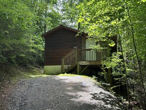 A wooden cabin with a gravel path leading to it, surrounded by dense forest.