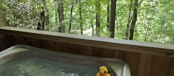 Cuddle Up and Relax - Hot Tub, Fireplace, View