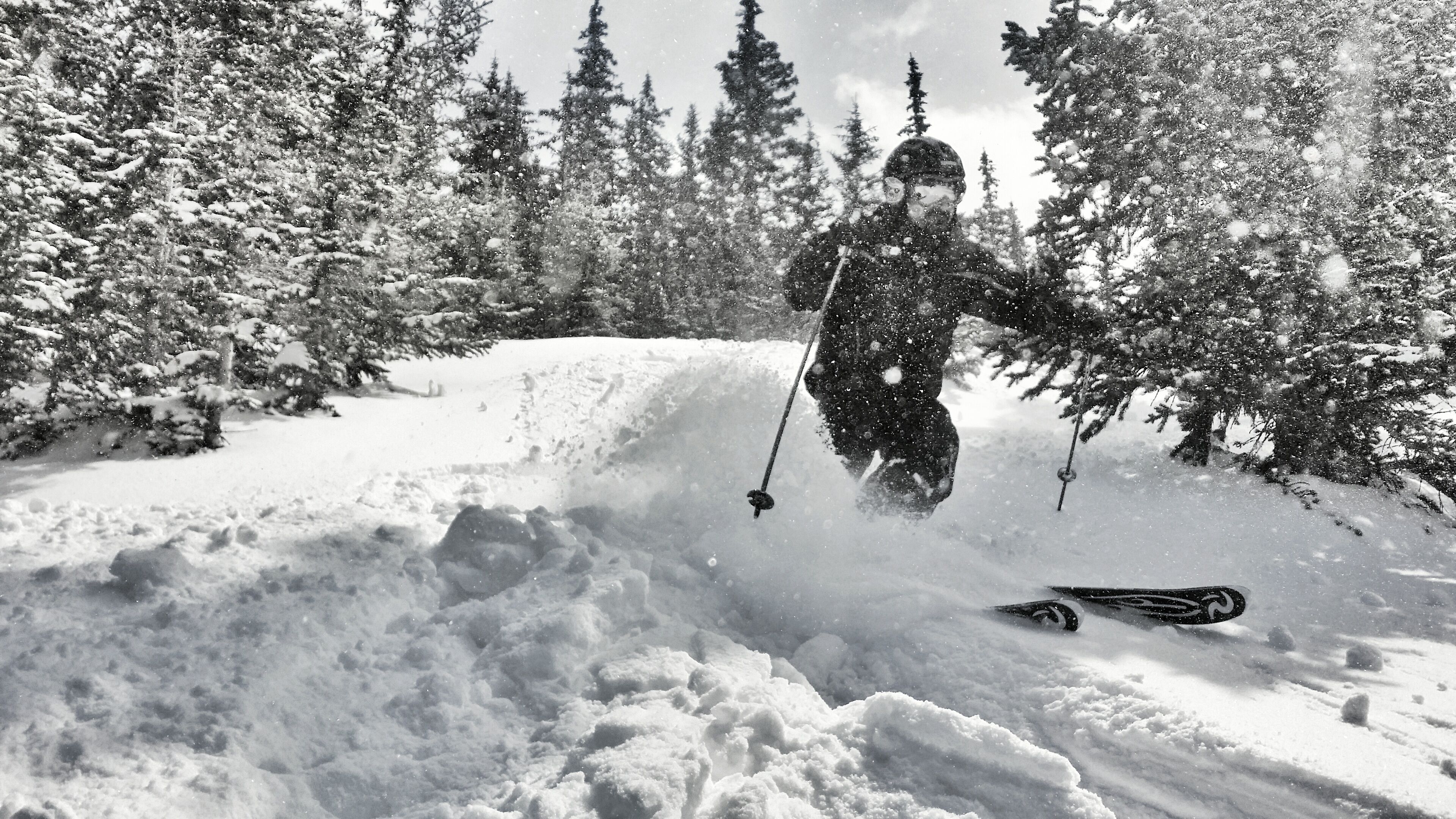 A person skiing down a snowy slope with trees in the background.