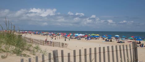 Vlak bij het strand