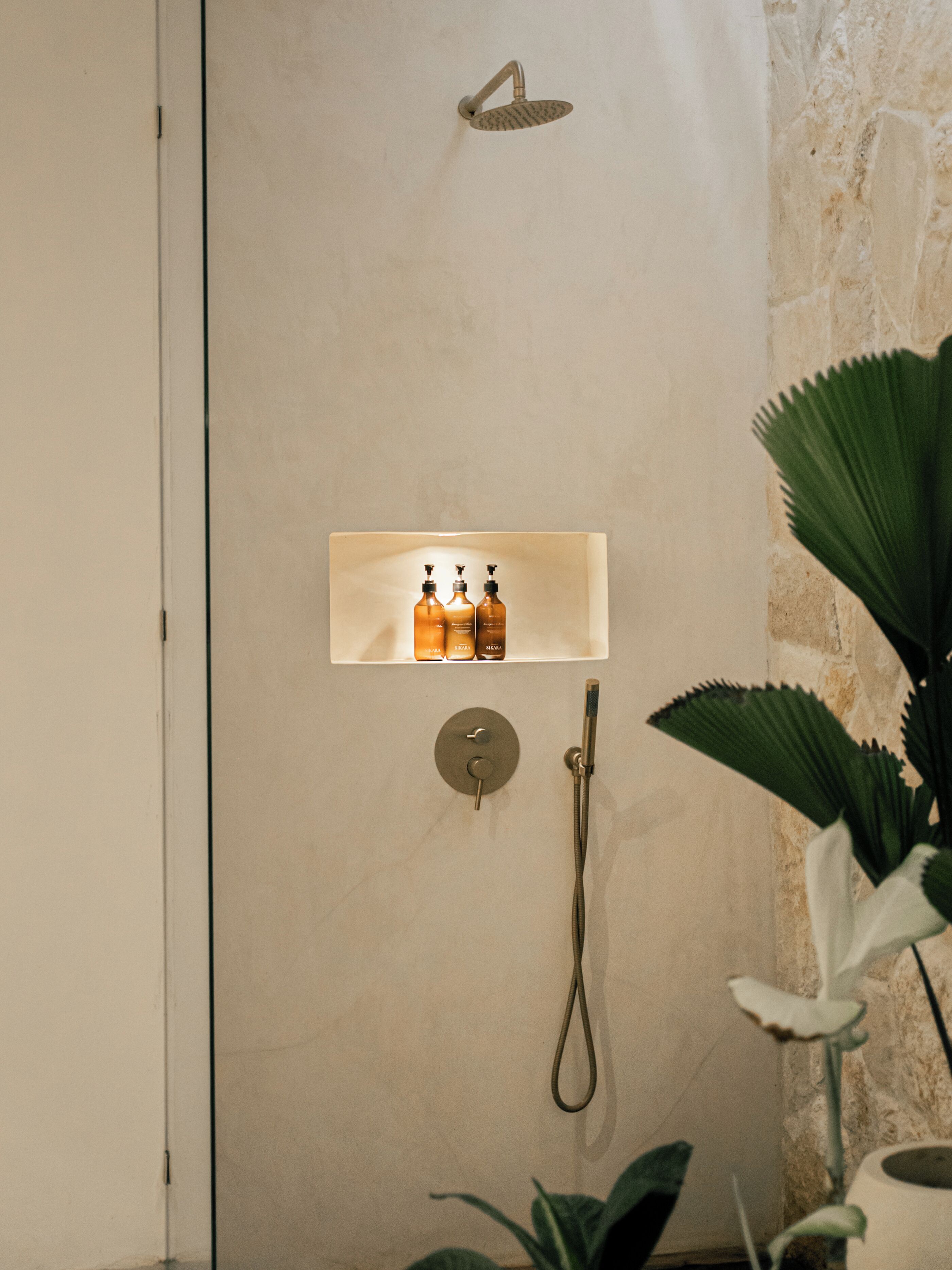 A bathroom with a shower, a soap dispenser, and a potted plant.