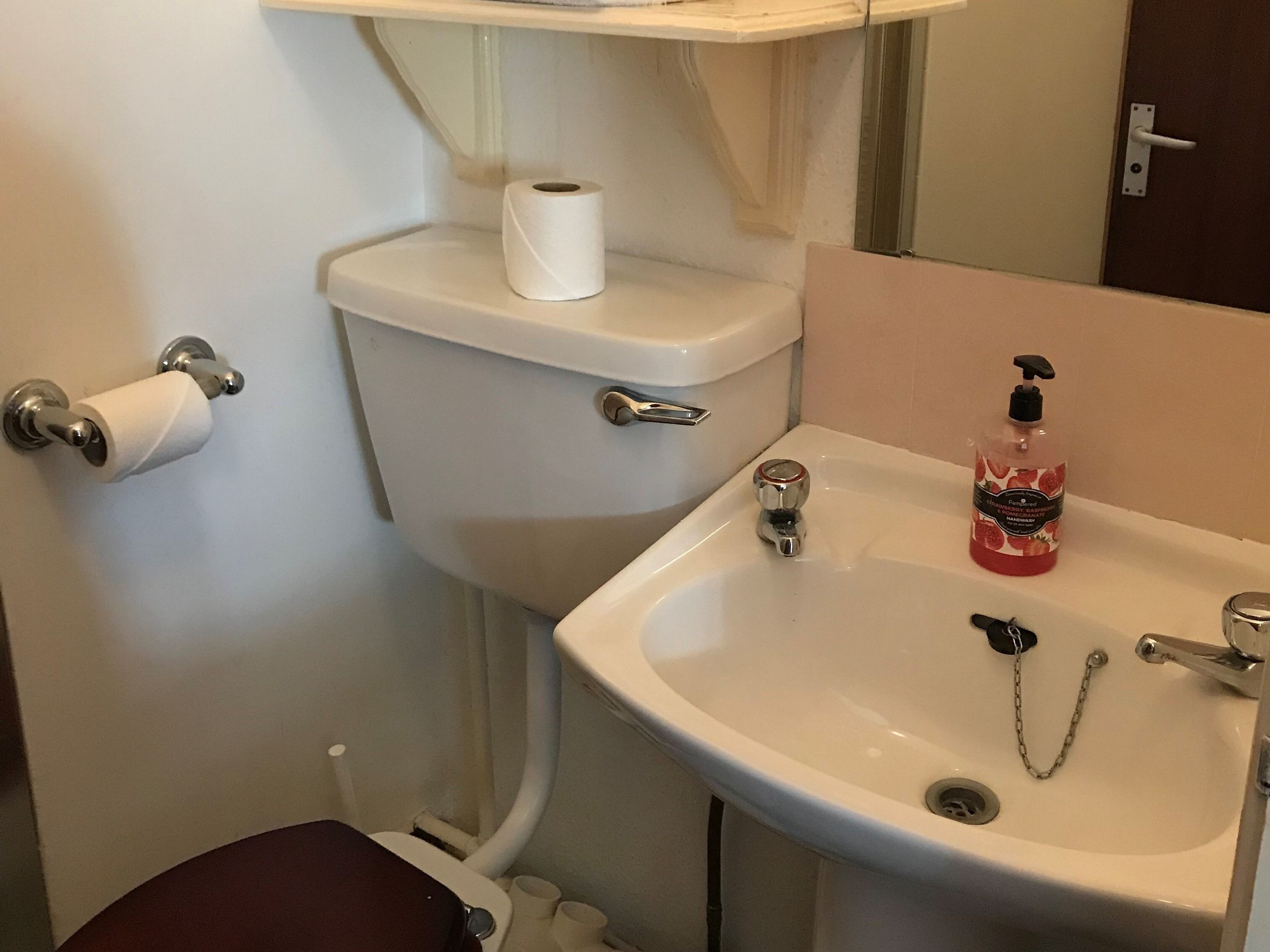Een badkamer met een toilet, een rol toiletpapier, een wastafel met een zeepdispenser, en een ketting voor het afvoerputje.