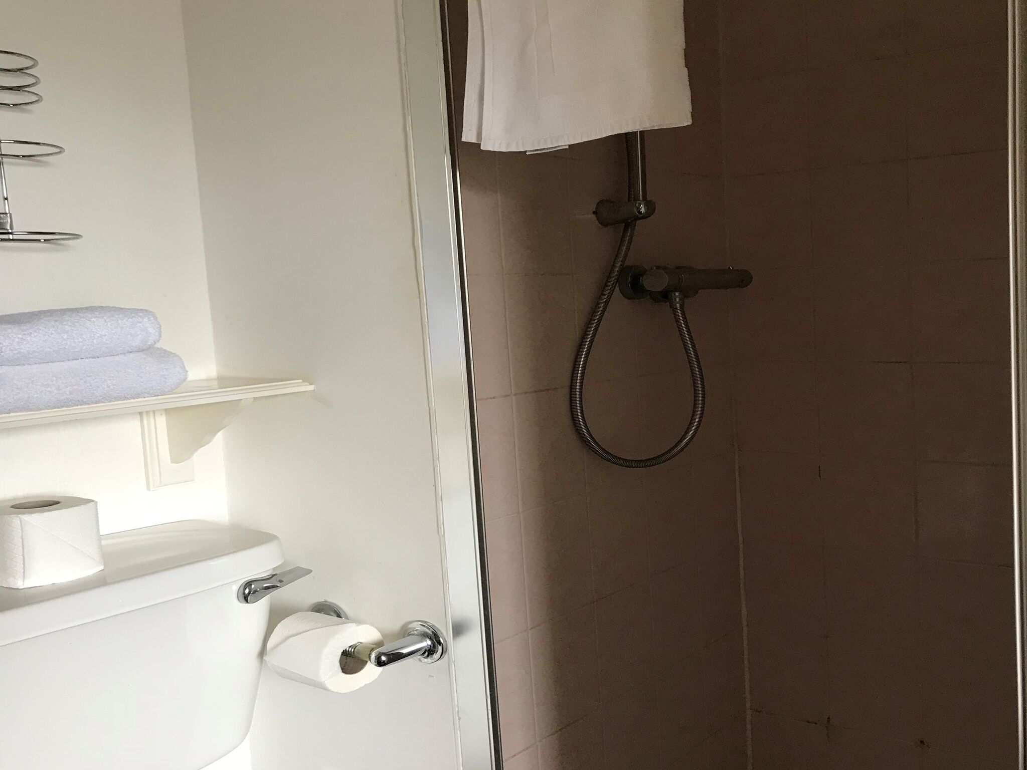 A bathroom with a toilet, a roll of toilet paper, a towel rack with towels, and a shower with a hose.