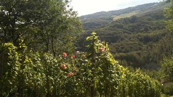 Blick von der Unterkunft