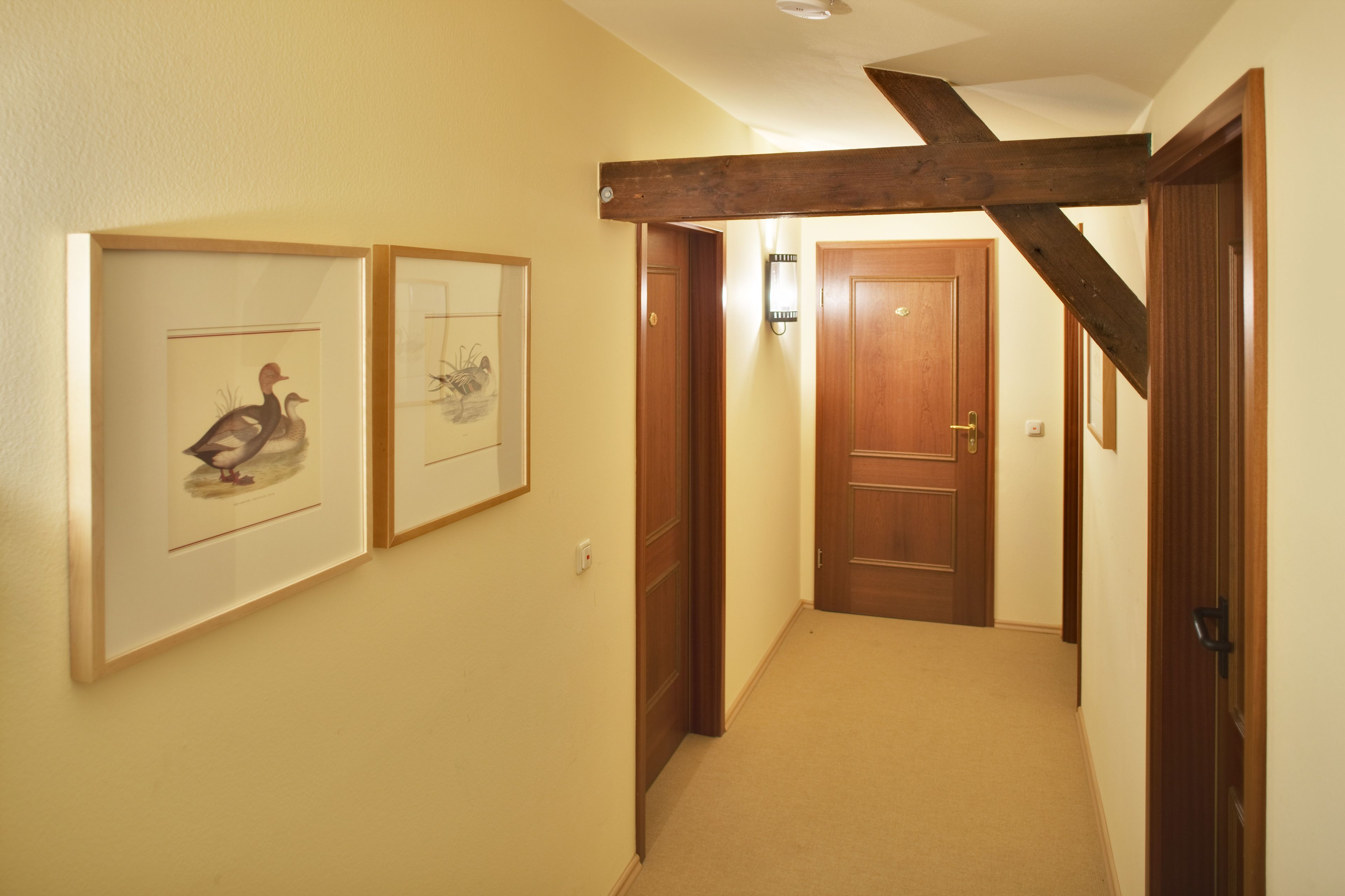A hallway with wooden doors, framed artwork on the walls, and a carpeted floor.