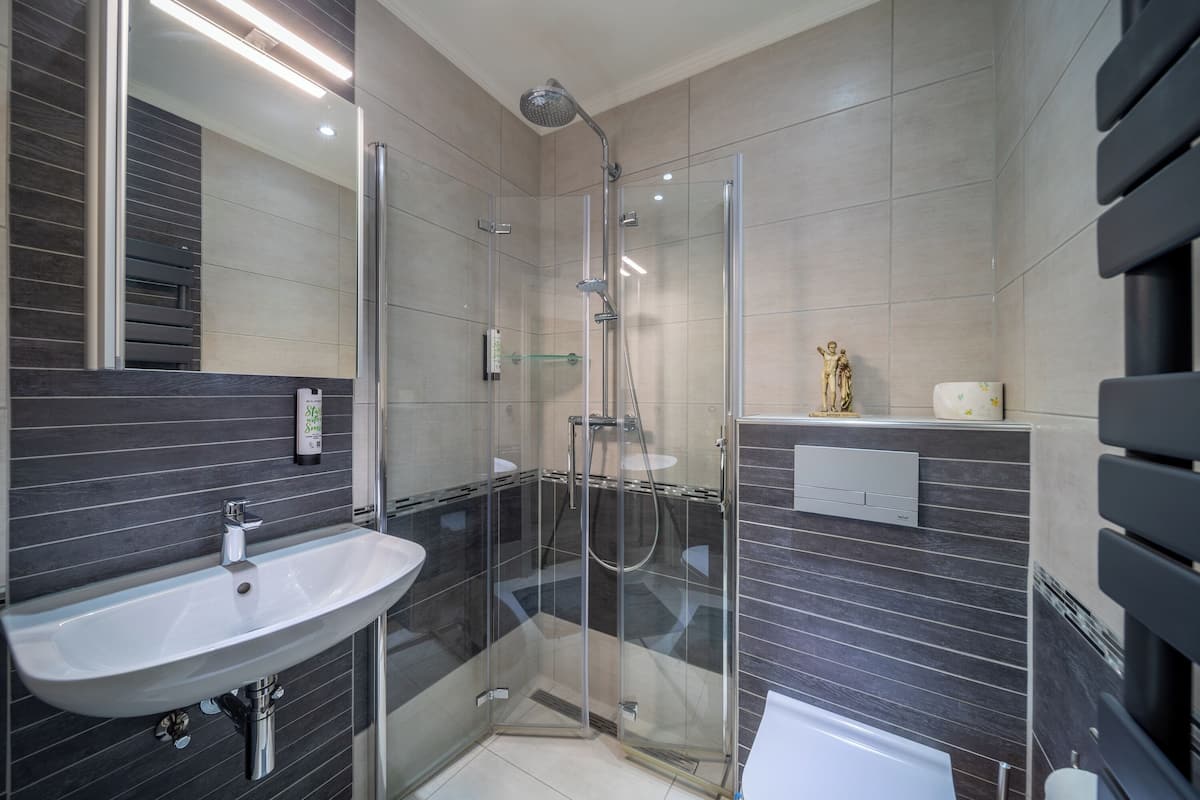 double or twin room, canal view | bathroom | shower, hair dryer, towels