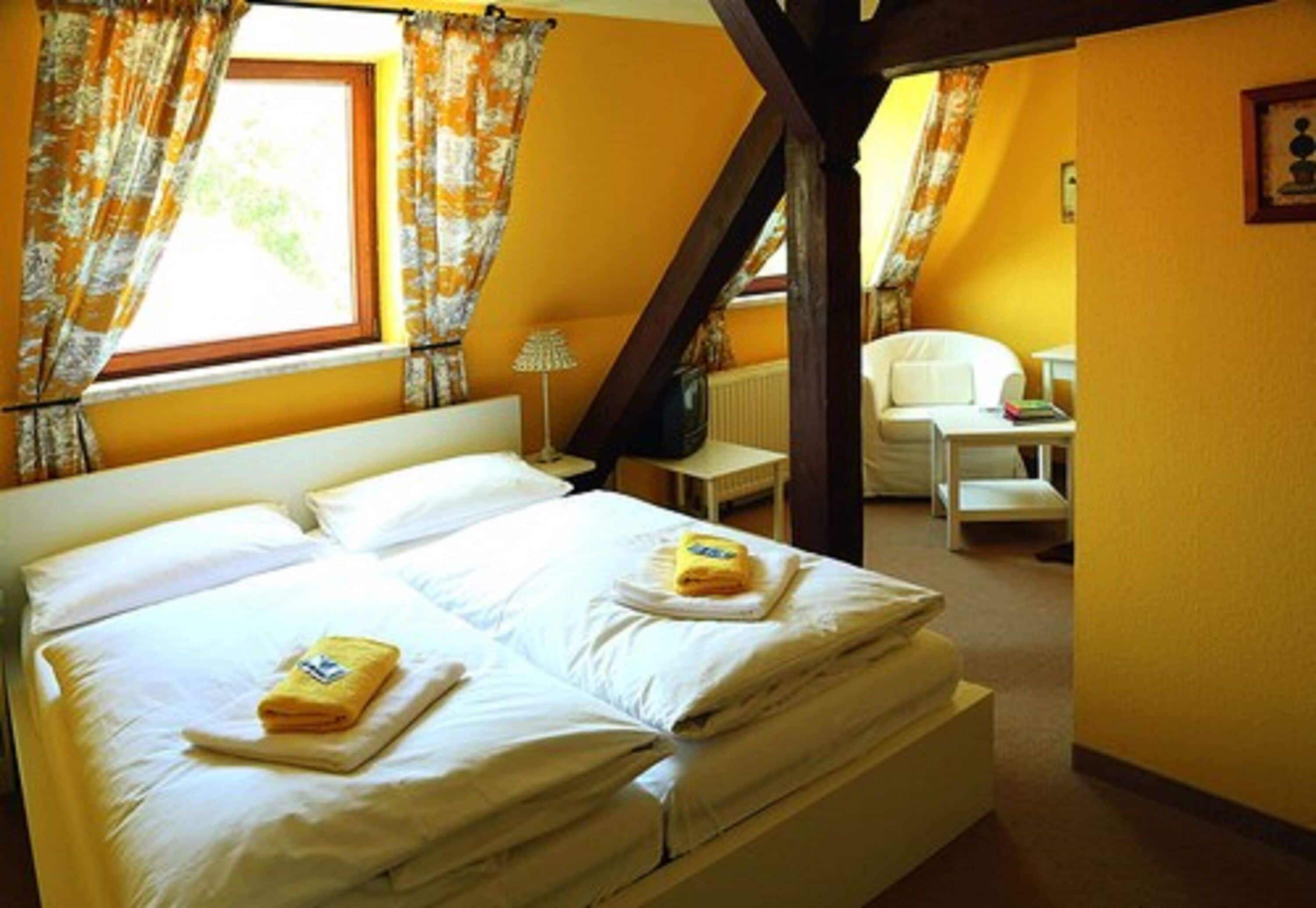 Habitación doble | Escritorio, tabla de planchar con plancha, wifi gratis y ropa de cama