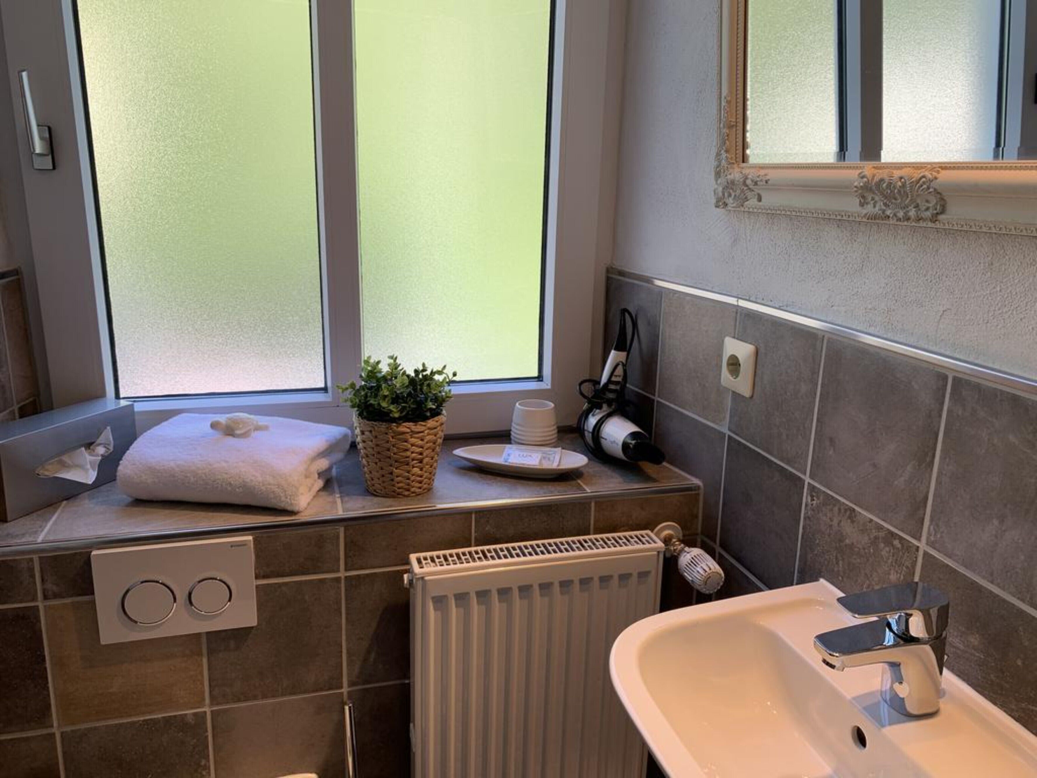 A bathroom with a window, a towel, a plant, a hairdryer, and a radiator.