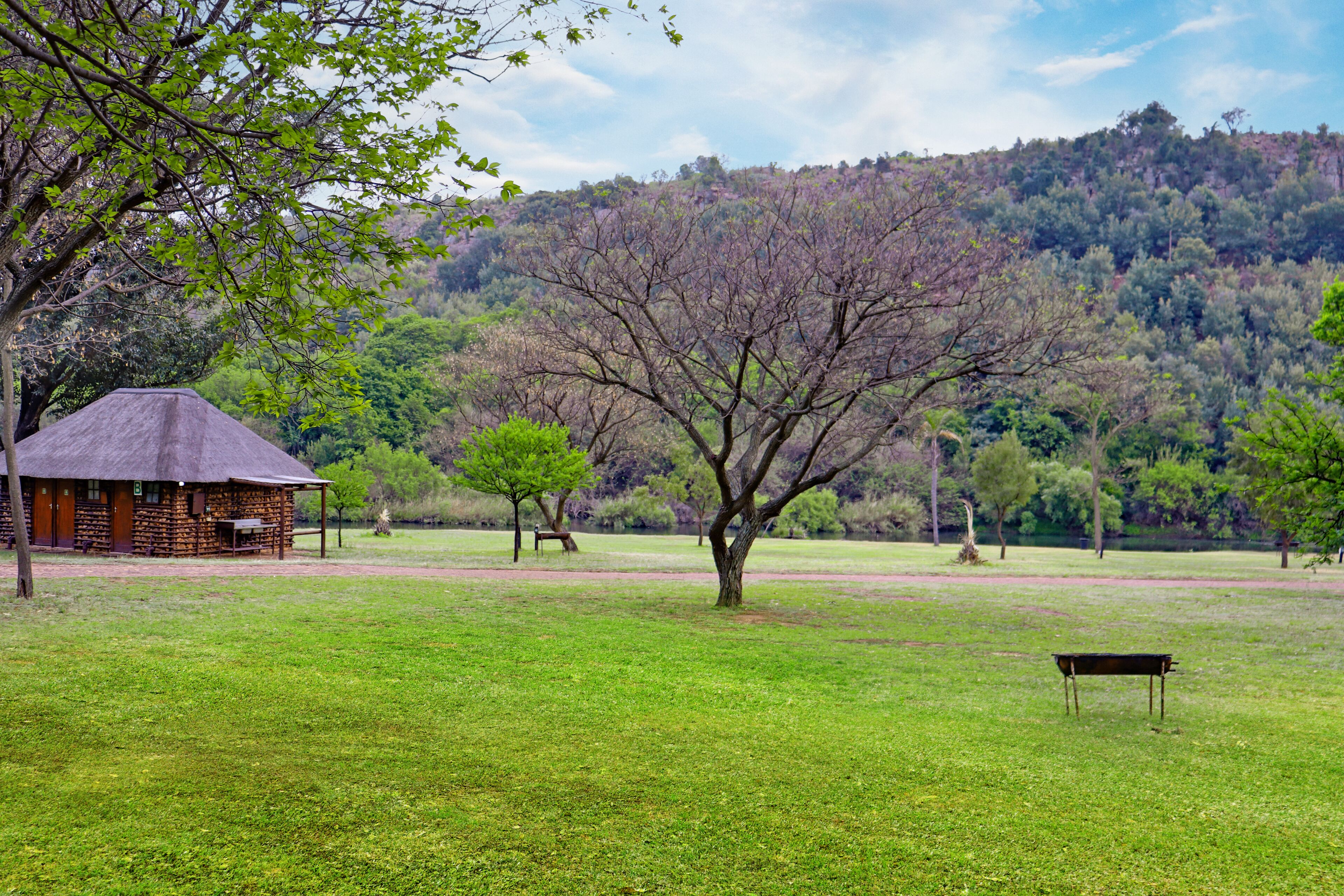A rustic cabin with a thatched roof, surrounded by a grassy field and trees.