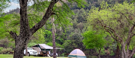 Tenda Basic | Pemandangan dari kamar