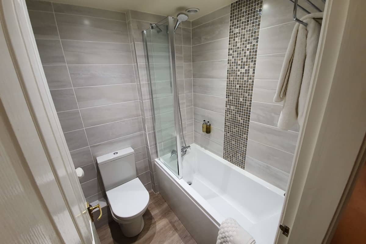 combined shower/bathtub, free toiletries, hair dryer, towels