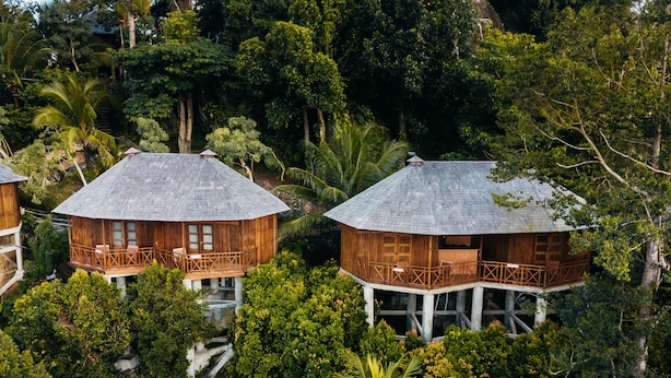 Dos cabañas de estilo casa en árbol con balcones, rodeadas de exuberante follaje tropical.