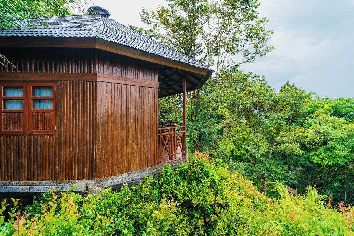 Una cabaña de madera con balcón, rodeada de exuberante vegetación y árboles.