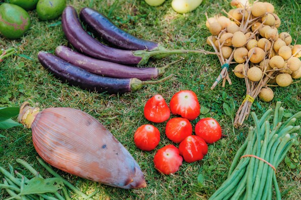 A variety of fresh vegetables including eggplants, tomatoes, and green beans on grass.