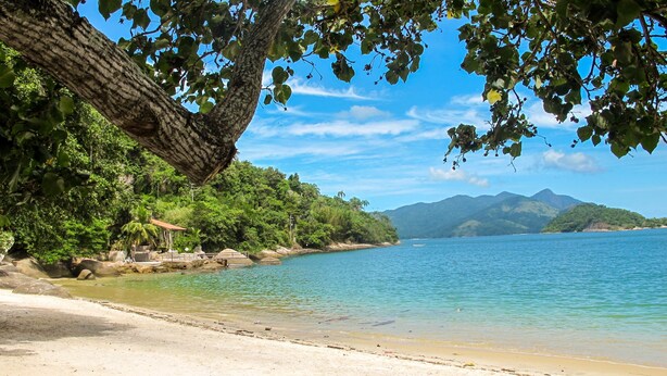 A beach with clear water, a sandy shore, and lush greenery. - Chalé Jaguanum (Mangaratiba)