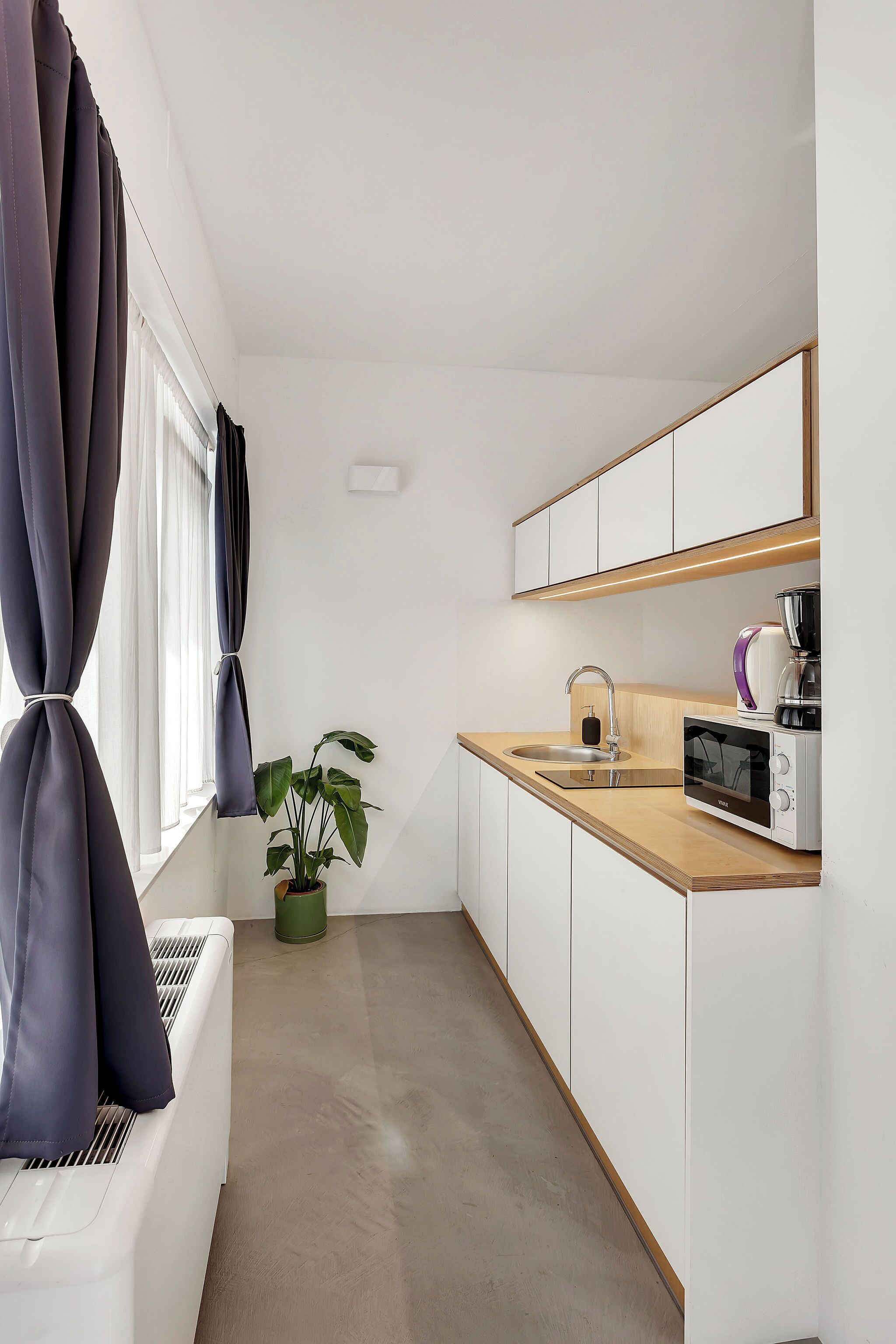 A compact kitchen with a microwave, sink, and a potted plant.