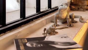 A reptile enclosure with a glass window, a small lizard, and a book on a ledge.