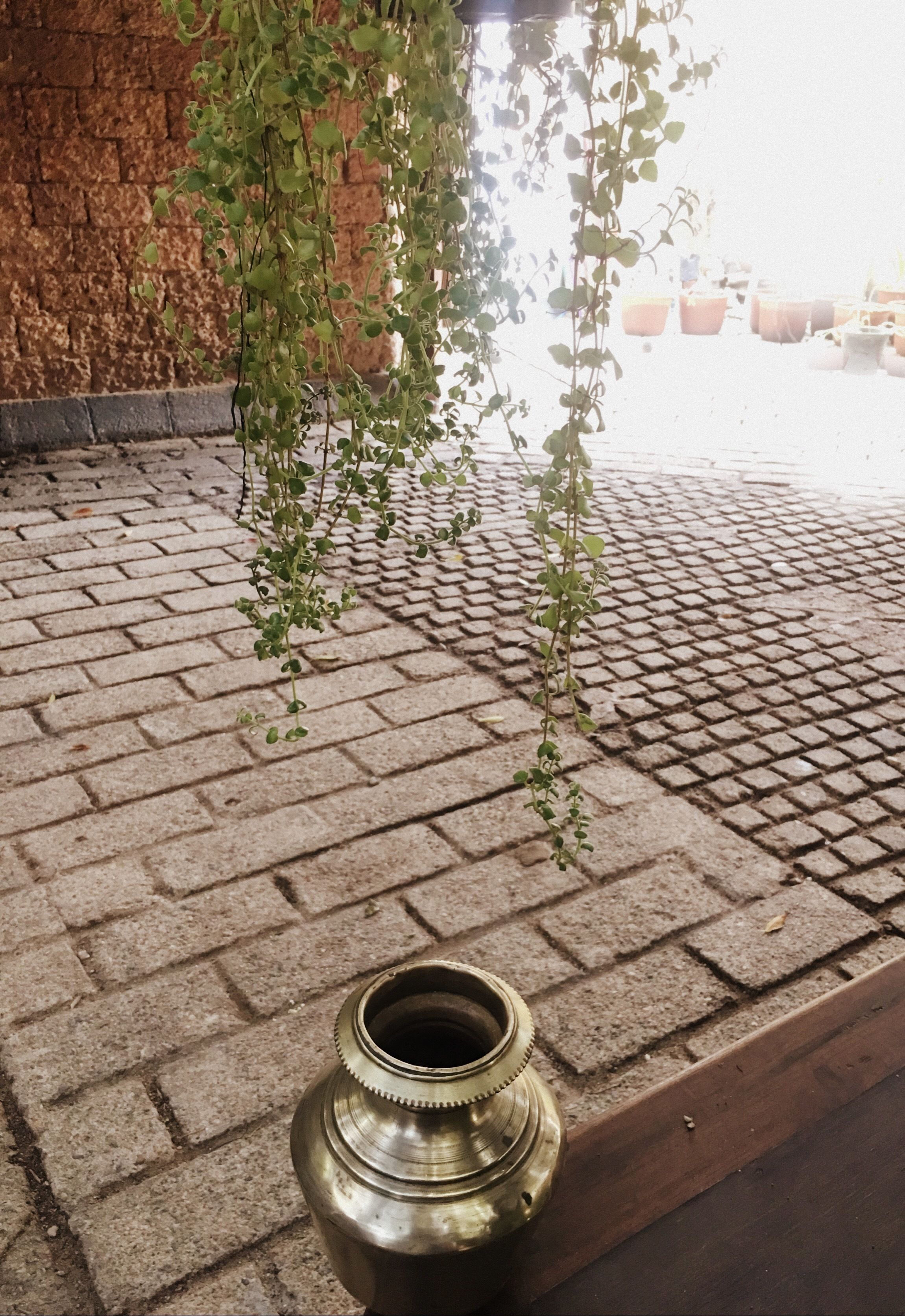 Foto - Artisan Villa