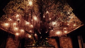 Un arbre décoré de guirlandes lumineuses dans une cour.