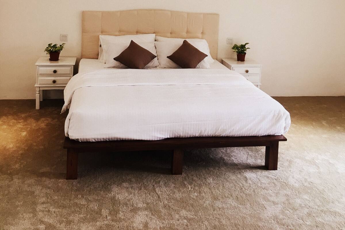 A bedroom with a bed, two nightstands, and two potted plants.
