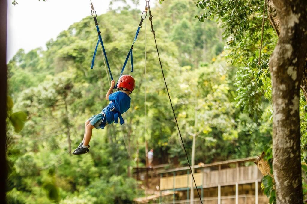A person on a zip line in a forested area with a wooden bridge in the background.