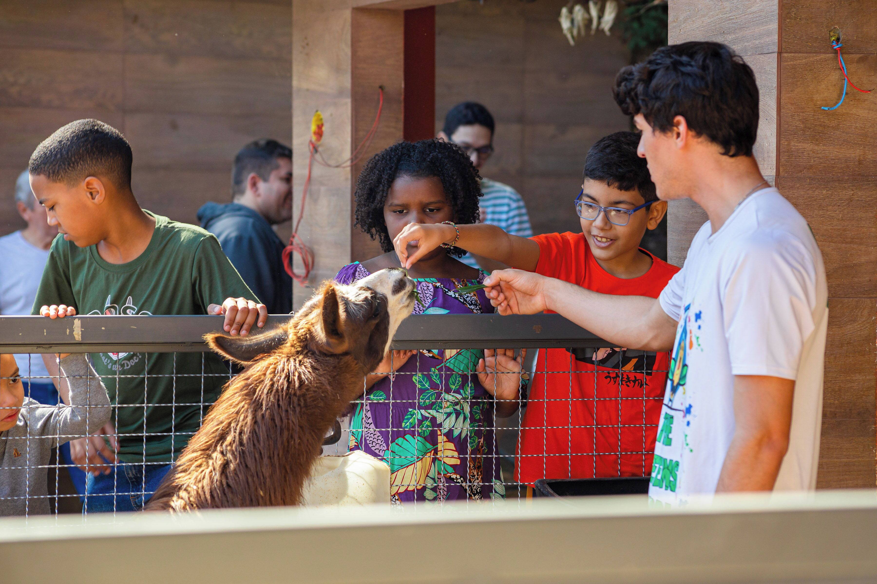 A group of people observing an animal through a fence at a zoo.