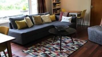 Flat-screen TV, Netflix