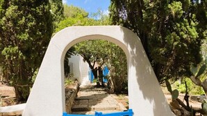An arched pathway leading through a garden with stone steps and a blue frame structure.