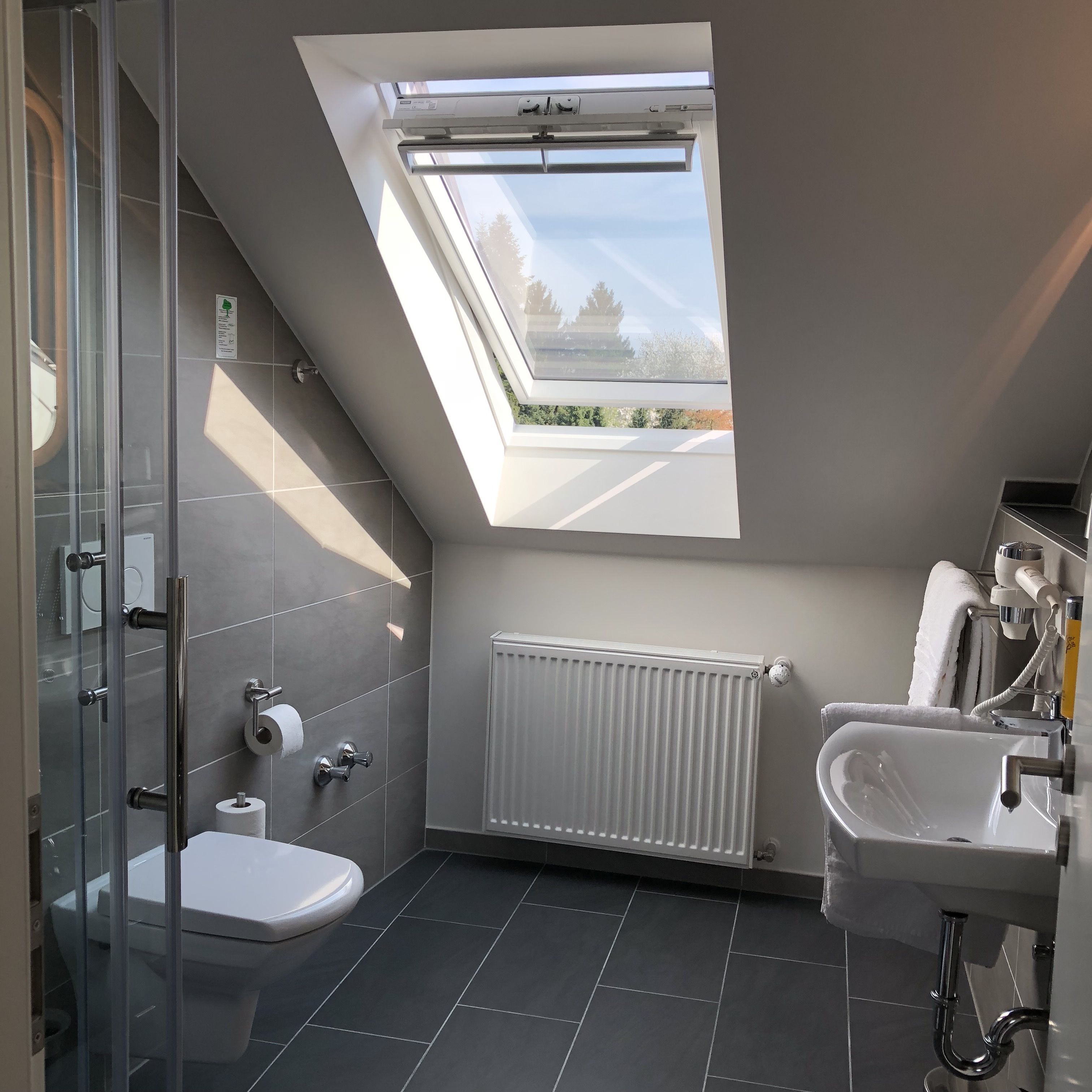 shower, free toiletries, hair dryer, towels