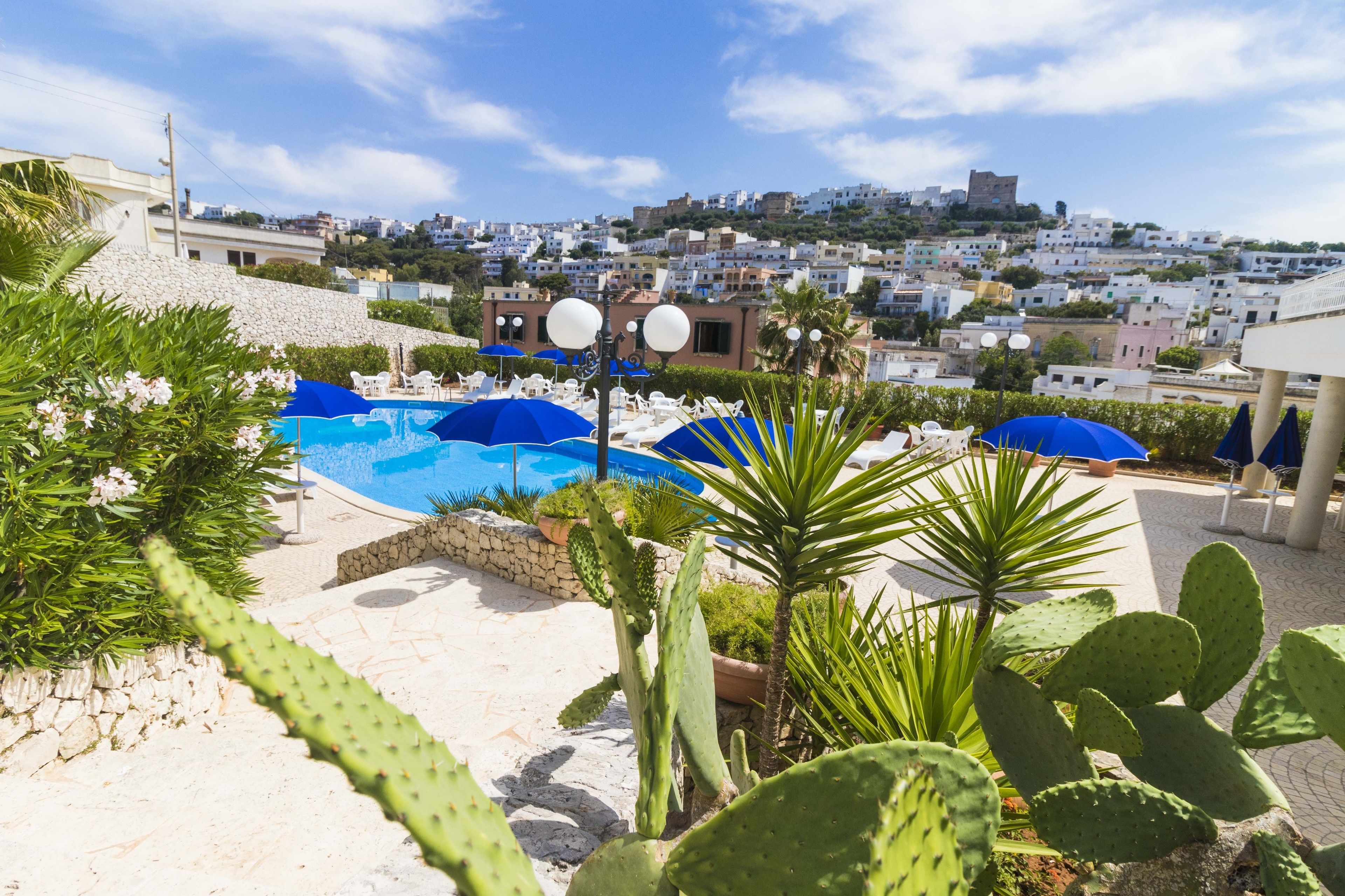 seasonal outdoor pool, open 10 am to 7 pm, pool loungers