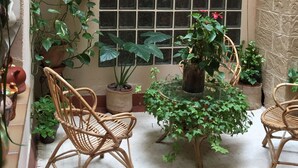 A cozy patio area with wicker chairs, potted plants, and a variety of decorative pottery on a wooden shelf. - Hotel Castellote (Castellote)