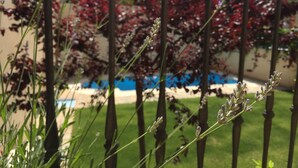 A garden with a metal fence, red foliage, and a pool in the background. - Hotel Castellote (Castellote)