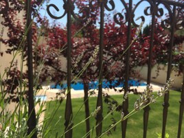 Un jardín con una valla de metal, follaje rojo y una piscina al fondo.